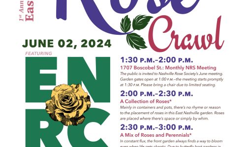 ENRC Rose Crawl Flyer Design (Color)